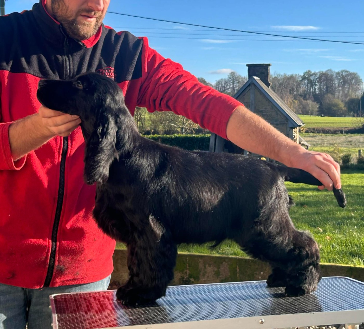 A black Swan of loving Star