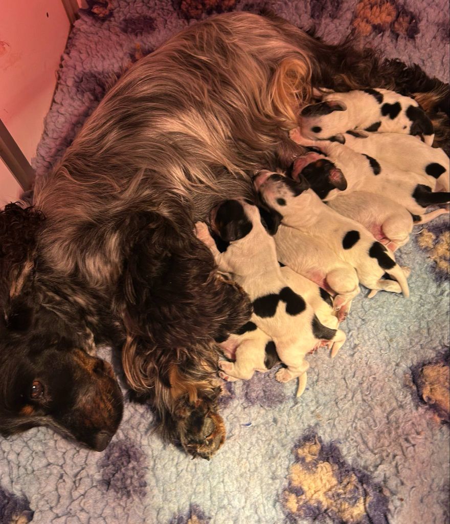 of loving Star - Les bébés poussent comme des champignons !