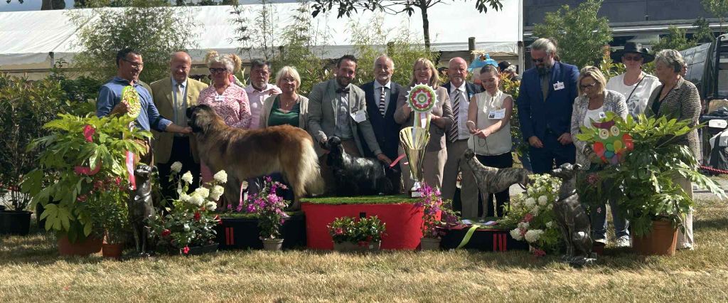 BEST IN SHOW Châteaubriant 2025